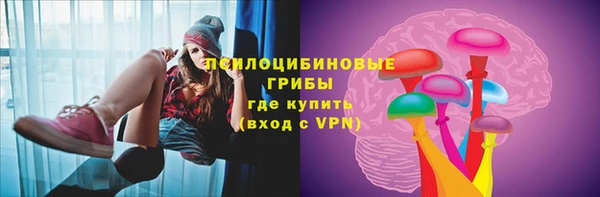 герыч Шадринск