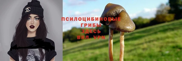 кокс Шарыпово
